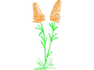 Sticker Custom Preview Image #104424 Plants Flowers Flowers Flowers340