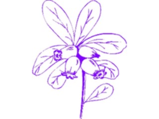 Sticker Custom Preview Image #104425 Plants Flowers Flowers Flowers341