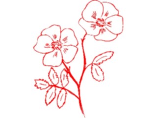 Sticker Custom Preview Image #104427 Plants Flowers Flowers Flowers343