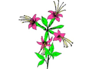 Sticker Custom Preview Image #104428 Plants Flowers Flowers Flowers344