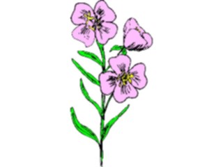 Sticker Custom Preview Image #104429 Plants Flowers Flowers Flowers345