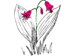 Sticker Custom Preview Image #104431 Plants Flowers Flowers Flowers347