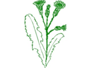 Sticker Custom Preview Image #104432 Plants Flowers Flowers Flowers348