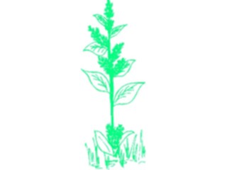 Sticker Custom Preview Image #104433 Plants Flowers Flowers Flowers349