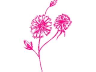 Sticker Custom Preview Image #104434 Plants Flowers Flowers Flowers350