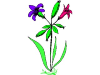 Sticker Custom Preview Image #104436 Plants Flowers Flowers Flowers352