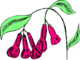 Sticker Custom Preview Image #104441 Plants Flowers Flowers Flowers357