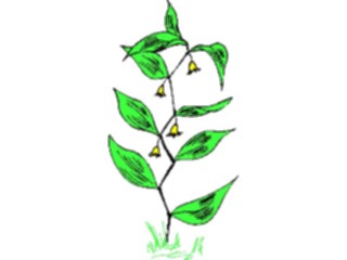 Sticker Custom Preview Image #104442 Plants Flowers Flowers Flowers358