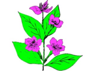 Sticker Custom Preview Image #104443 Plants Flowers Flowers Flowers359