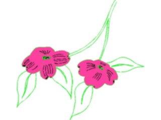 Sticker Custom Preview Image #104444 Plants Flowers Flowers Flowers360