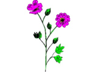 Sticker Custom Preview Image #104445 Plants Flowers Flowers Flowers361