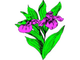 Sticker Custom Preview Image #104448 Plants Flowers Flowers Flowers364