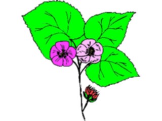 Sticker Custom Preview Image #104449 Plants Flowers Flowers Flowers365