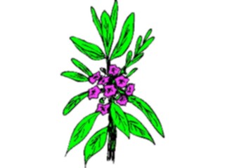 Sticker Custom Preview Image #104451 Plants Flowers Flowers Flowers367