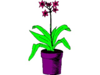 Sticker Custom Preview Image #104453 Plants Flowers Flowers Flowers369