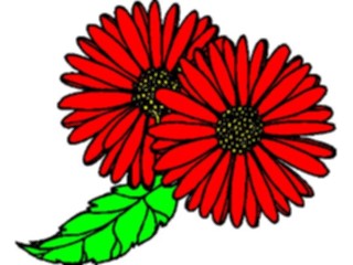 Sticker Custom Preview Image #104456 Plants Flowers Flowers Flowers372