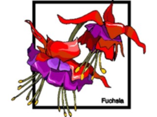 Sticker Custom Preview Image #104511 Plants Flowers Flowers Fuchsia1