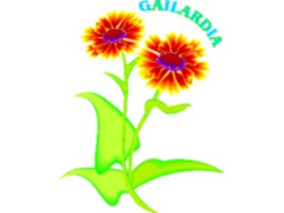 Sticker Custom Preview Image #104513 Plants Flowers Flowers Gailardia