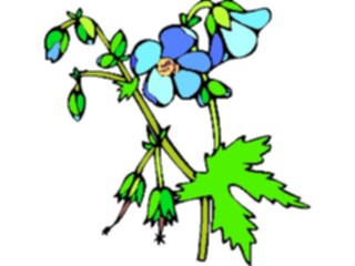 Sticker Custom Preview Image #104515 Plants Flowers Flowers Geranium