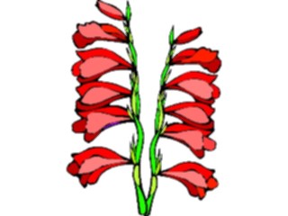 Sticker Custom Preview Image #104520 Plants Flowers Flowers Gladiolas4
