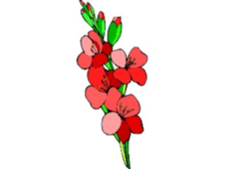 Sticker Custom Preview Image #104521 Plants Flowers Flowers Gladiolas5