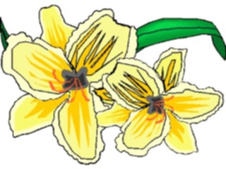 Sticker Custom Preview Image #104523 Plants Flowers Flowers Golden Gift