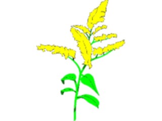 Sticker Custom Preview Image #104525 Plants Flowers Flowers Golden Rod
