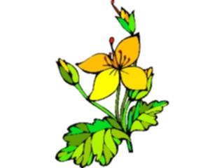 Sticker Custom Preview Image #104526 Plants Flowers Flowers Great Yellow Gentian