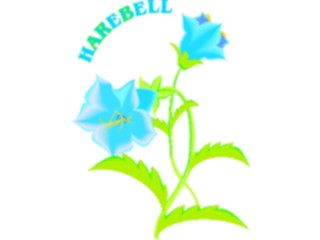 Sticker Custom Preview Image #104530 Plants Flowers Flowers Harebell