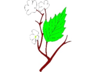Sticker Custom Preview Image #104532 Plants Flowers Flowers Hawthorn