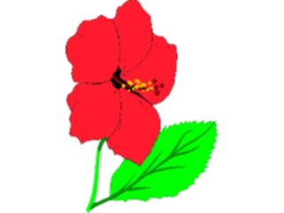 Sticker Custom Preview Image #104533 Plants Flowers Flowers Hibiscus1