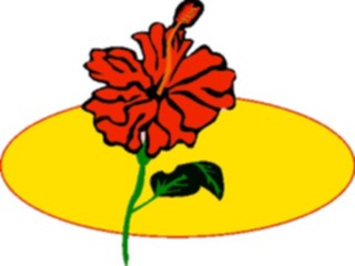 Sticker Custom Preview Image #104534 Plants Flowers Flowers Hibiscus2