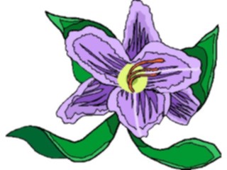 Sticker Custom Preview Image #104539 Plants Flowers Flowers Hundredth Anniversary