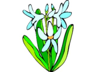 Sticker Custom Preview Image #104540 Plants Flowers Flowers Hyacinth