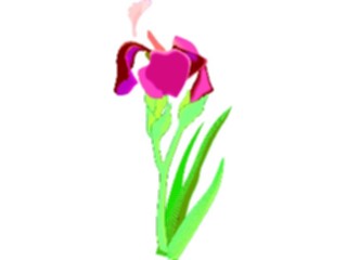 Sticker Custom Preview Image #104542 Plants Flowers Flowers Iris2
