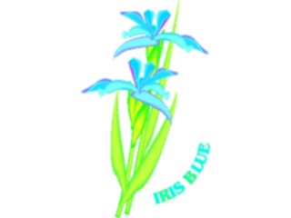 Sticker Custom Preview Image #104547 Plants Flowers Flowers Iris Blue