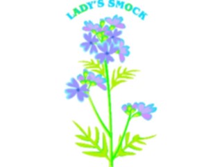 Sticker Custom Preview Image #104553 Plants Flowers Flowers Ladys Smock