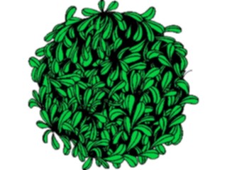 Sticker Custom Preview Image #104554 Plants Flowers Flowers Leafball