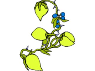Sticker Custom Preview Image #104560 Plants Flowers Flowers Lemon Stem2