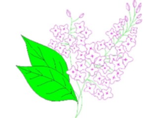 Sticker Custom Preview Image #104561 Plants Flowers Flowers Lilac1