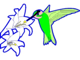 Sticker Custom Preview Image #104566 Plants Flowers Flowers Lily01