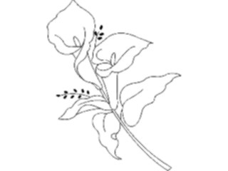 Sticker Custom Preview Image #104567 Plants Flowers Flowers Lily02