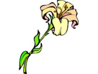 Sticker Custom Preview Image #104570 Plants Flowers Flowers Lily05