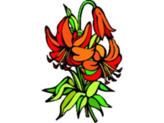 Sticker Custom Preview Image #104571 Plants Flowers Flowers Lily06