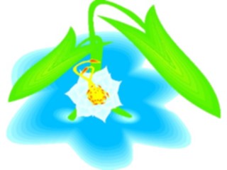 Sticker Custom Preview Image #104573 Plants Flowers Flowers Lily08