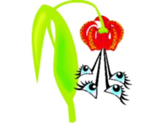 Sticker Custom Preview Image #104574 Plants Flowers Flowers Lily09