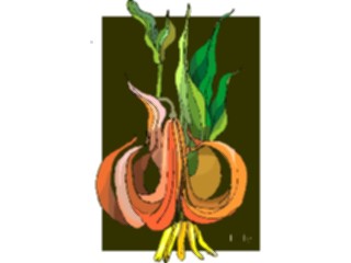 Sticker Custom Preview Image #104576 Plants Flowers Flowers Lily11