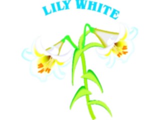 Sticker Custom Preview Image #104584 Plants Flowers Flowers Lily White
