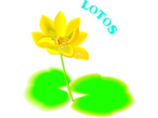 Sticker Custom Preview Image #104586 Plants Flowers Flowers Lotos