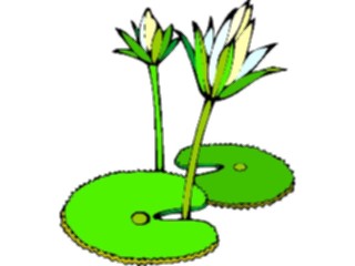 Sticker Custom Preview Image #104588 Plants Flowers Flowers Lotus Flower2